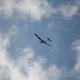 Image for article titled Some Good Things Drones Can (Actually) Do